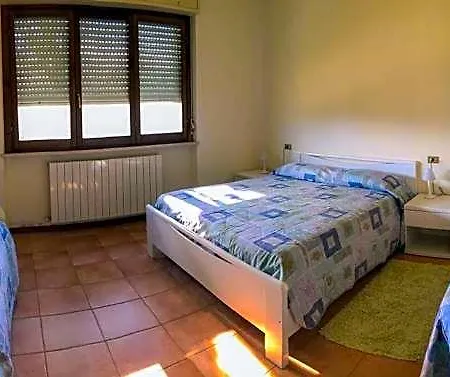 Tomassini *